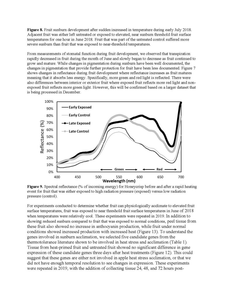 How does fruit acclimation to sunburn affect sunburn management ...